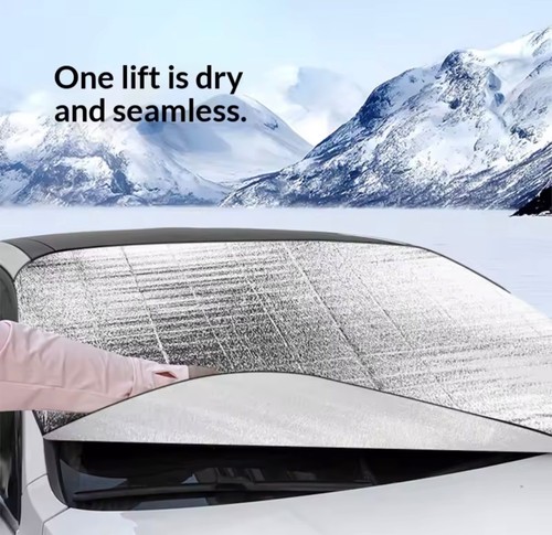 Auto-Windschutzscheiben-Schnee